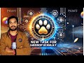 Paws new task for Airdrop | Paws airdrop | Crypto News