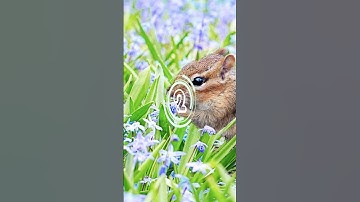 FIND THE ODD EMOJI OUT #89 | KIDS PUZZLE | EMOJI QUIZ | EASY, MEDIUM, HARD