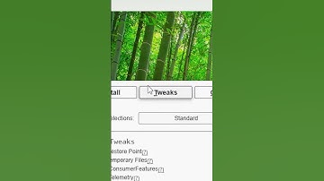 Debloat Windows 11 in UNDER 1 Minute🕣
