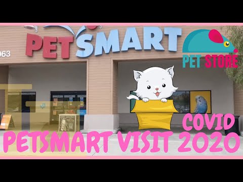 Video: Wawancara Eksklusif PetGuide dengan Igor PugDog