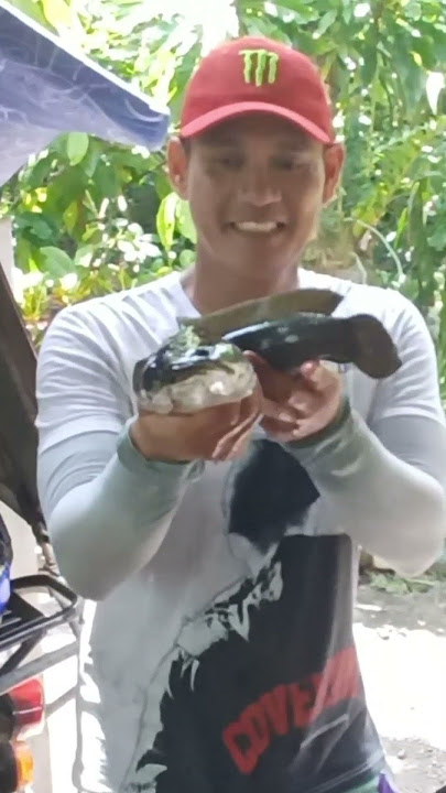 Rare Catch! #snakeheadfishing