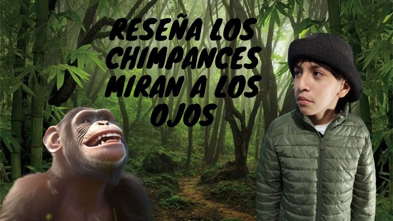 reseña los chimpances miran a los ojos - YouTube