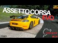 EARGASM! Porsche 718 GT4 RS Intake Sound @ Nordschleife | Assetto Corsa EVO [No Commentary]