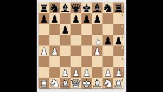 Diary Of A Chess Coach Ep. 1 Where Was That Queen?