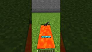 Things in Minecraft that doesn't make any sense...