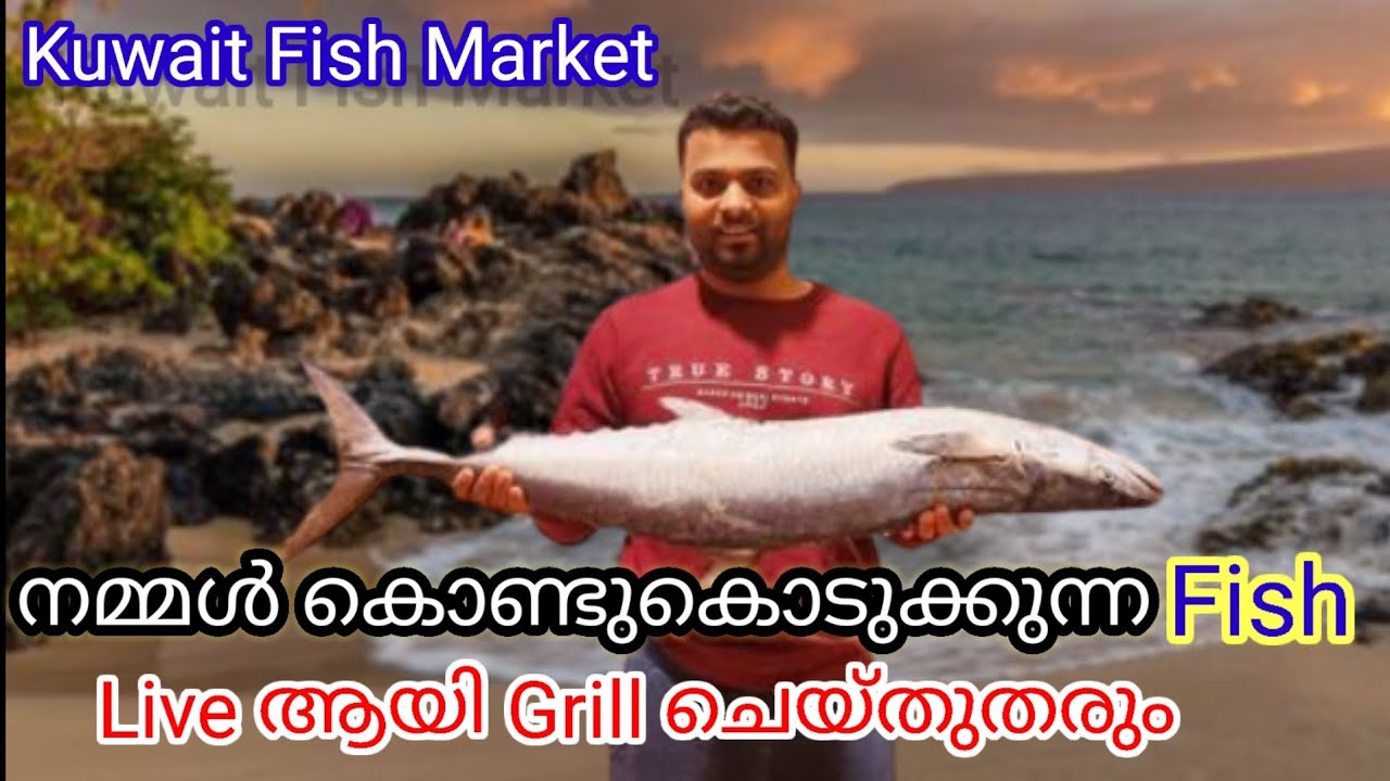 Kuwait fish market and live fishgrill in alkout fish market fahaheel