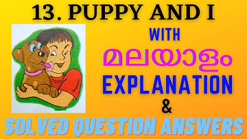 Class 3 / English chapter 13 - Puppy and i / with malayalam explanation / solved question answers