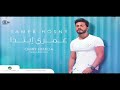 اغنية بطلة العالم في النكد تامر حسنى