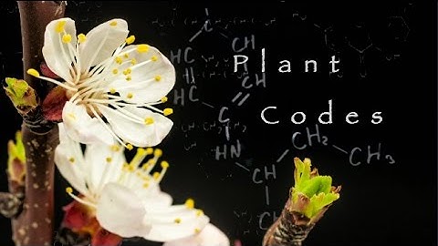 Plant Codes Trailer by Gary Null