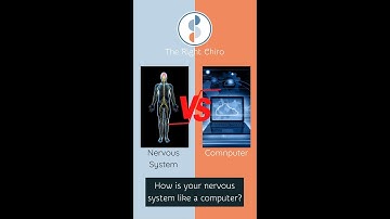 Why is your nervous system like a computer?