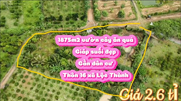 Vườn cây ăn quả siêu đẹp🔝điện nước đầy đủ🔝khu dân cư🔝diện tích 1.875m2🔝giá chỉ 2.6 tỉ tại Lộc Thành
