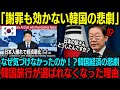 【海外の反応】日本人は怒っていない…だから韓国は対処不能｜沈黙で経済が動いた理由を最新データで解析