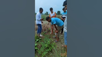 A Day 🙂 In My Life 😁 My First VlogMini 📸 Vlog | #shorts #minivlog #vlog