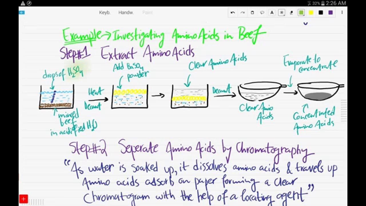 IGCSE ChemistryChapter2,Part 2Chromatography YouTube