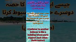 Unity Among Believers              #UnityInIslam#HadithOfTheDay#SupportEachOther