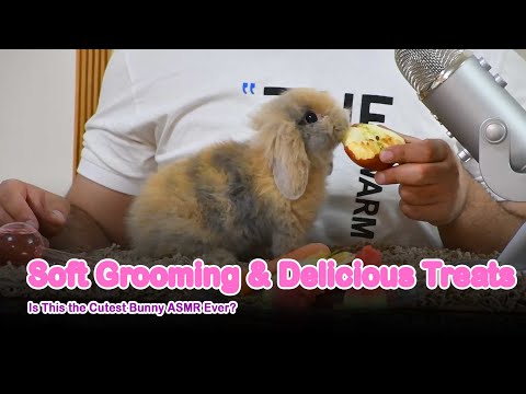 Unbelievable Bunny ASMR – Soft Grooming, Cozy Vibes & Delicious Bites