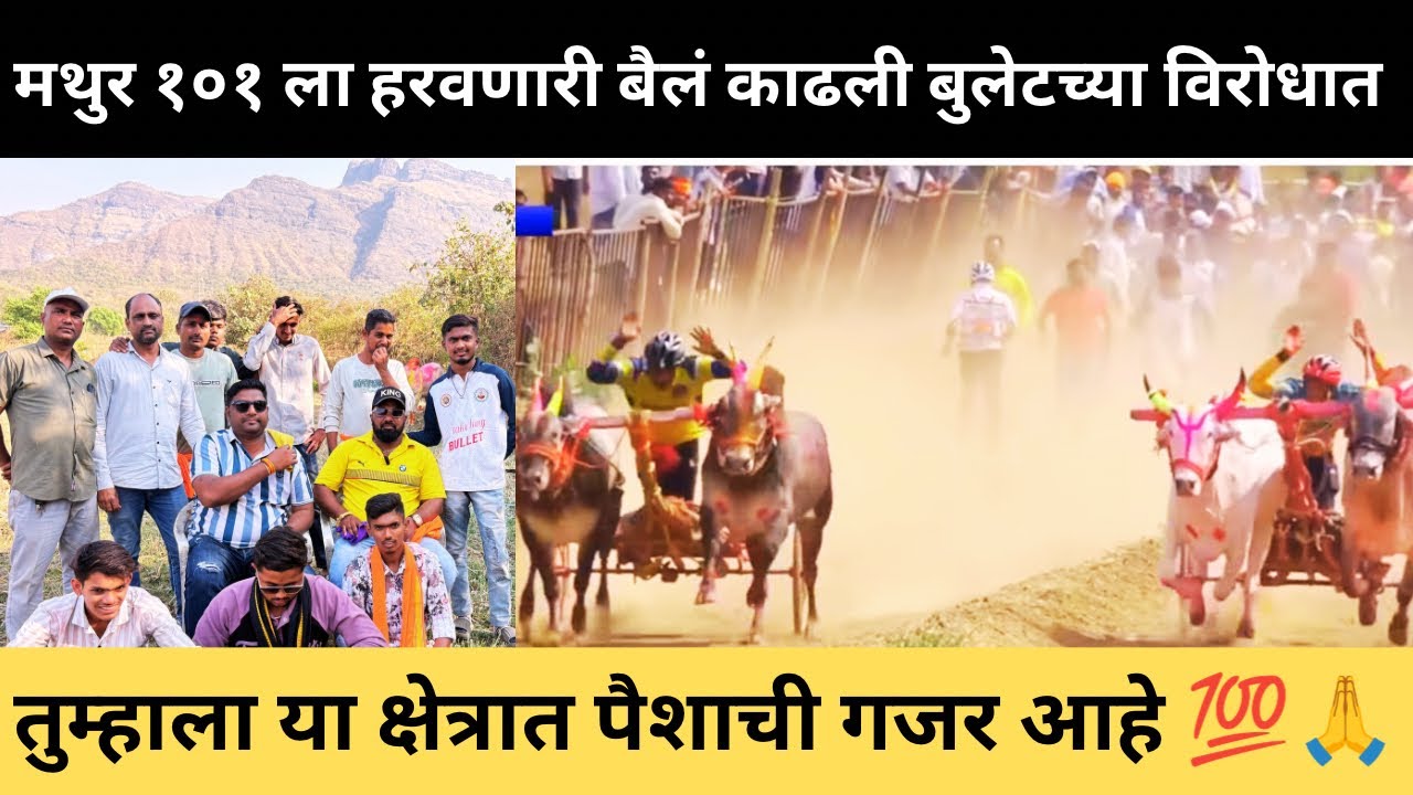 बुलेट १०१०-टेस्टर पैरा कसा झाला,९-१० मैदानं पैरा मागू नका सचिन शेठ व रुपेश शेठ 🙏💯