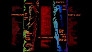 Evangelion synchronization (social credit) test
