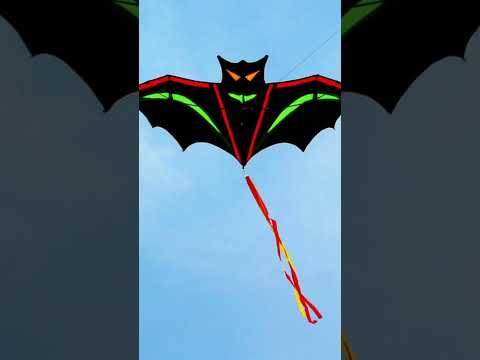 Unboxing bat kite