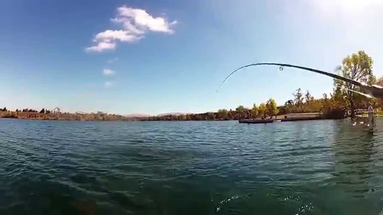 Stillwater Fly Fishing with Streamers YouTube