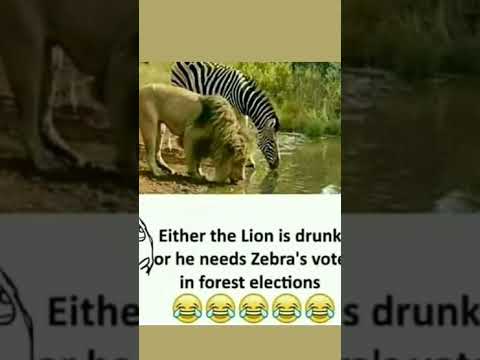 Funny Memes #shortsbeta