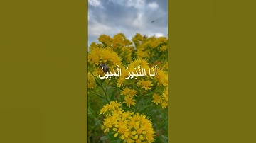 #قرآن #قران_كريم #راحة_نفسية #تلاوة_خاشعة #تلاوة_هادئة #tilawat #هزاع_البلوشي