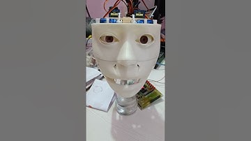 "Robot mouth testing of mechanical function"