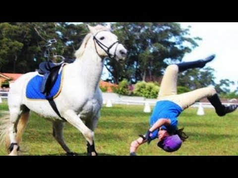 try-not-to-laugh-★-funny-people-fail-in-horse-riding-challenge-||-funny-babies-and-pets