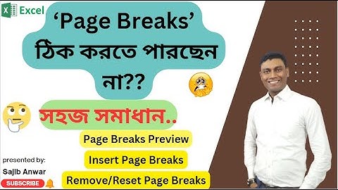 Page Breaks In Excel | How to Adjust Page Breaks in Excel | Page Breaks Preview, insert page breaks