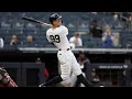 New York Yankees 2021 Home Runs (224)