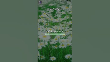 #القرآن_الكريم #اكسبلور #المصحف #تلاوة_خاشعة #سورة_آل_عمران @أجملتلاواتالقرآنالكريم-ض8ظ