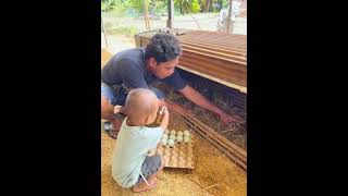 Download Lagu Panen lagi guys #fypyoutube #shoorts #jangkauanluas  MP3 Download Lagu Panen lagi guys #fypyoutube #shoorts #jangkauanluas  MP3