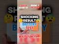 Honor Magic V5 vs iPhone 17Pro Max Battery Test ⚡ Shocked Result! 😱#techshorts #trending#speedtest