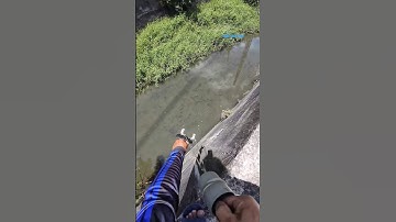 Cá Lớn - săn đàn cá Rô phi Khủng bằng nỏ dây thun 😱 #khacthuyvlogg