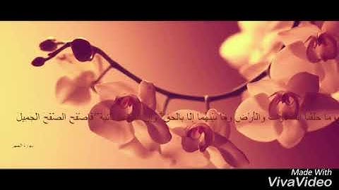 تلاوة هادئة ومؤثرة جداً تأخذك إلي عالم آخر