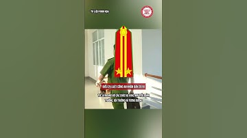 Cấp bậc hàm cao nhất của Trưởng Công an xã, phường, thị trấn| THƯ VIỆN PHÁP LUẬT