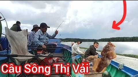 Câu Cá Nâu Sông Thị Vải || Đi Câu Giữa Cơn Bão Số 10 Cùng Anh Em || Đam mê câu cá