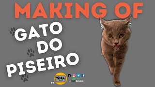 Making of (Gato do Piseiro) - by Timbu Fun by Timbu Fun 12,565 views 2 years ago 1 minute, 24 seconds