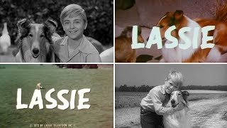 Classic TV Themes: Lassie Thru the Years