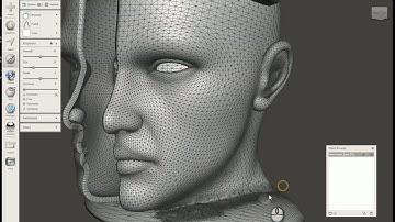 Refining 3D models with MESHMIXER complete process..including 3D Printing