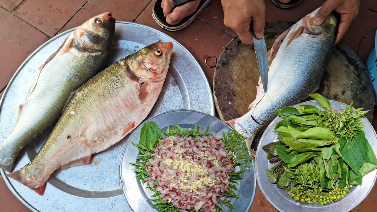 Cách Làm Gỏi Cá Mè Chuẩn Vị Bắc, Gỏi Cá Lá Dổi | Lối Vè Làng TV