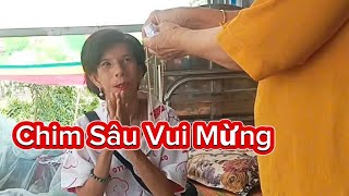 Chim Sâu Vui Mừng #phuongdualeo 