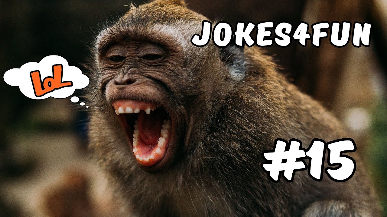 смешные фильмы 2023. приколы 2023. смех 2023. смеется до слез. смех 2023.