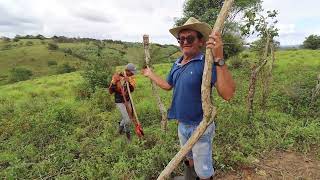 CONSERTANDO A CERCA DO PASTO DO GADO (NOVAS ESTACAS E ARAME)