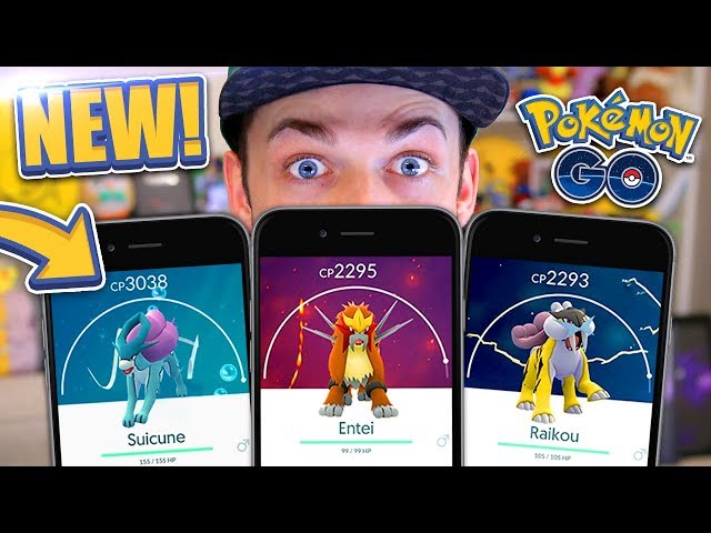 Legendary Dog Raid Days Raikou - - Pokémon Go in Clevedon