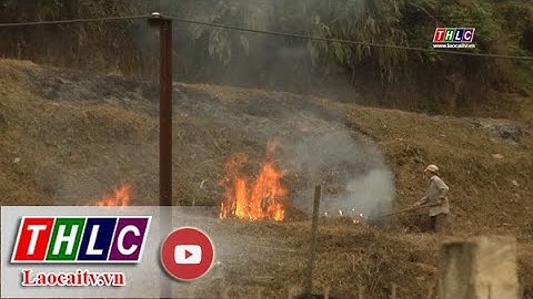 Đẩy mạnh công tác tuyên truyền phòng chống cháy rừng | THLC