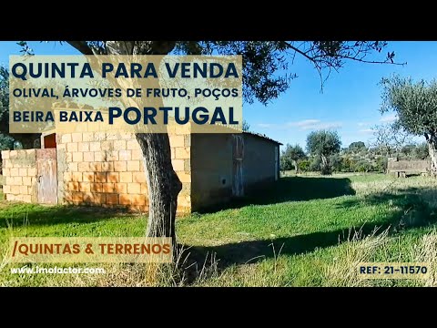 ? Quinta Para Venda - Poços - Olival - Portugal | Indisponível