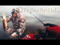 по медвежьим следам за окунями- лаптями и хариусом- парусом