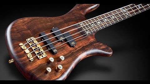 Warwick Custom Shop Masterbuilt - Streamer Stage II Macassar Ebony top