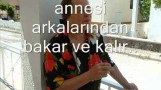 Bir Köpeğin Kocasını Bulma Hikayesi